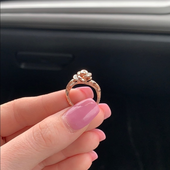 Rose gold Disney enchanted collectible. - Picture 4 of 7